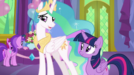 Princess Celestia "watching your student shine" S7E1