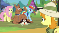 Rainbow Dash "the Exchange is almost over" S4E22