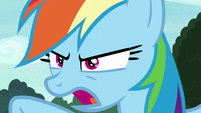 Rainbow Dash "your boring fashions!" S8E17