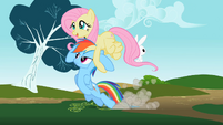 Rainbow Dash being dragged by Fluttershy S2E07