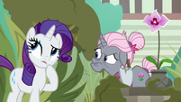 Rarity thinking of something S7E25