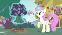 Twinkleshine picking a group of flowers S7E15