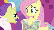 Dandy disapproves of Fluttershy's color scheme S7E5