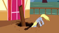 Derpy Hooves looking down 1 S2E14