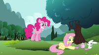 Fluttershy 'Not especially' S3E3