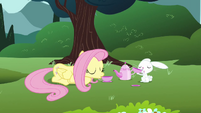 Fluttershy having a tea party with Angel.