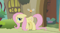 Fluttershy embarrassed S1E10