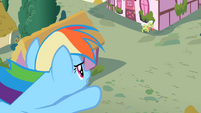 Rainbow Dash flying S2E8