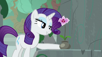 Rarity places Mistmane's flower on a pedestal S7E25