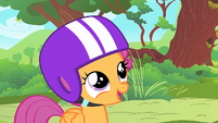 "We're trying to find Rainbow Dash, so we can hear how she earned her cutie mark."