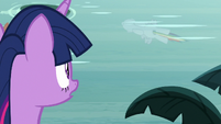 Twilight sees Rainbow's reflection in the water S8E13