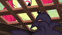 Apple Bloom looking inside Bloofy's box S9E22.png (817 KB) Apple Bloom looking inside Bloofy's box S9E22