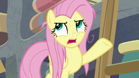 Fluttershy "every day this week" S9E18