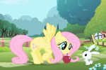 Fluttershy table