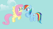 Rainbow Dash 'you gotta be excited!' S4E04