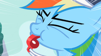 Rainbow Dash blowing whistle S2E07