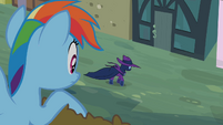 Rainbow Dash sees Mare Do Well walking S2E08