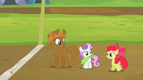 Rarity Sweetie Belle and Apple Bloom end of the race mud S2E5