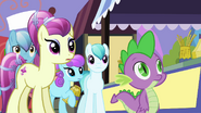 Crowd of ponies look at Rarity S3E2