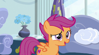 Scootaloo "ideas of my own" S6E14