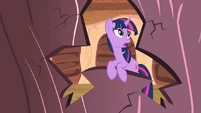 Twilight is taking in how much her insurance rate will sky rocket.
