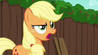 Applejack --tradition is all that counts!-- S6E14