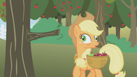Applejack after bumping into the tree with crossed eyes S1E04