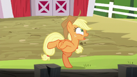 Applejack clucking like a chicken S6E10