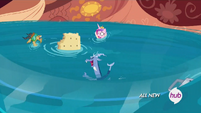 La cabra, la galleta, Cadance, el rayador de queso y Discord en el agua