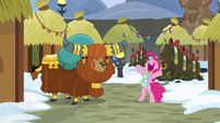 Pinkie appears before Prince Rutherford MLPBGE