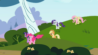 Ponies. Ponies everywhere.