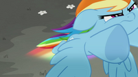 Rainbow Dash flying to the rescue MLPRR