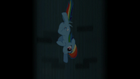 Rainbow Dash going down a Well S2E8