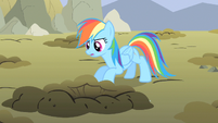 Rainbow Dash take a peek S1E19