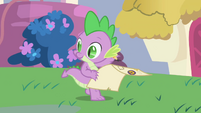 Spike tells Twilight what's next S1E1