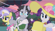 201px-Rarity wearing what S2E9