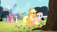 Applejack looks up to the apple tree S4E07