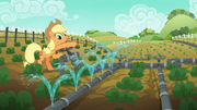 Applejack waters one row of vegetables S6E10