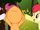 CMC High hoof S1E23.png