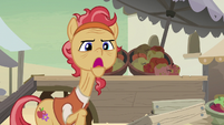 Elder Stallion -destroying ponies' apple carts- S7E18