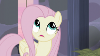 Fluttershy "aside from locking us in here" S5E02