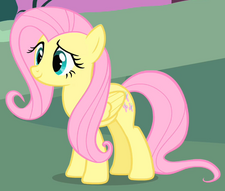 fluttershy flying