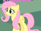 Fluttershy