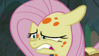 Fluttershy about to sneeze S7E20