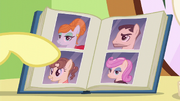 Fluttershy opening book of mane styles S6E11