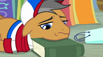 Quibble sulking on top of almanac S9E6