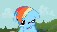 Rainbow Dash that leg is S2E8