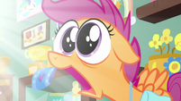 Scootaloo in complete shock and awe S7E7