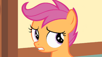 Scootaloo is about to scream S1E23