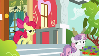 Sweetie Belle "the history of radishes" S8E12